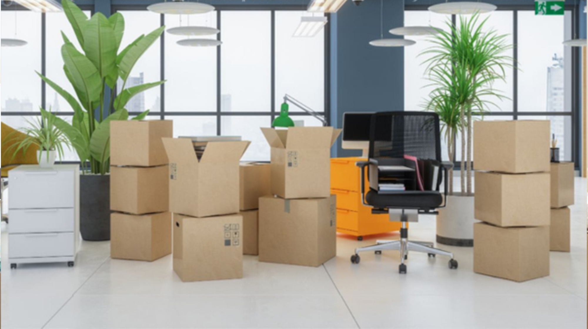 Office Shifting Services